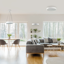 Висяща лампа JASMIN C 270-W/M